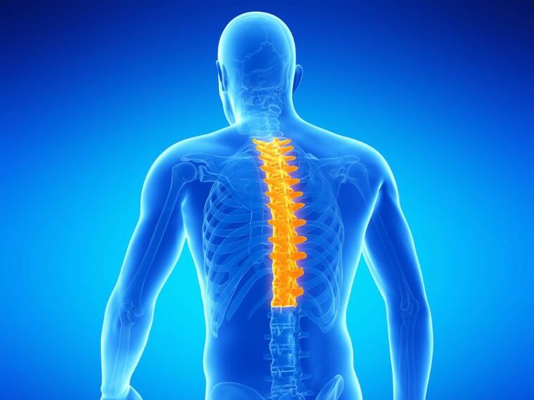 torakalna kralježnica i osteohondroza